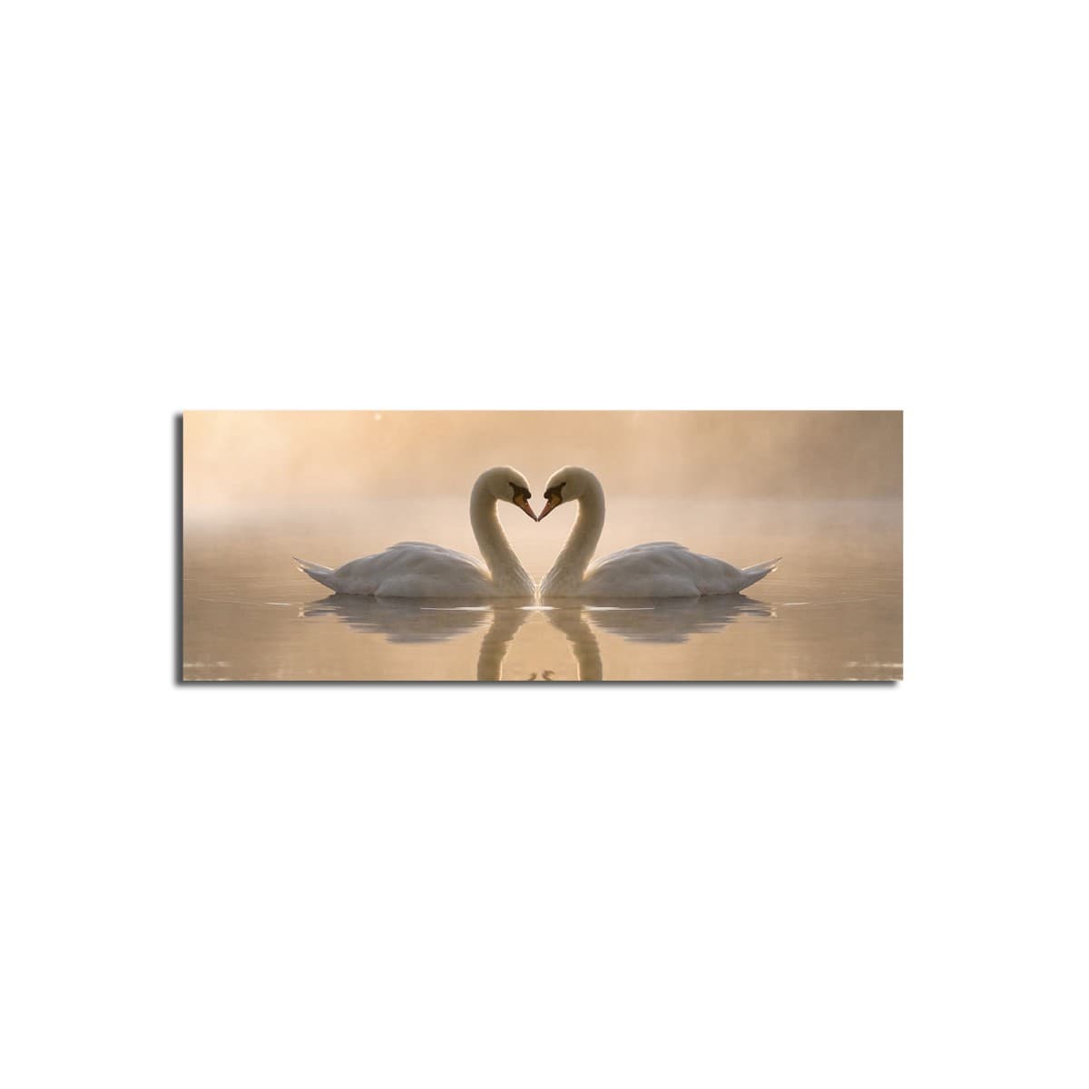 Obraz SWANS 30x90 cm béžový 1