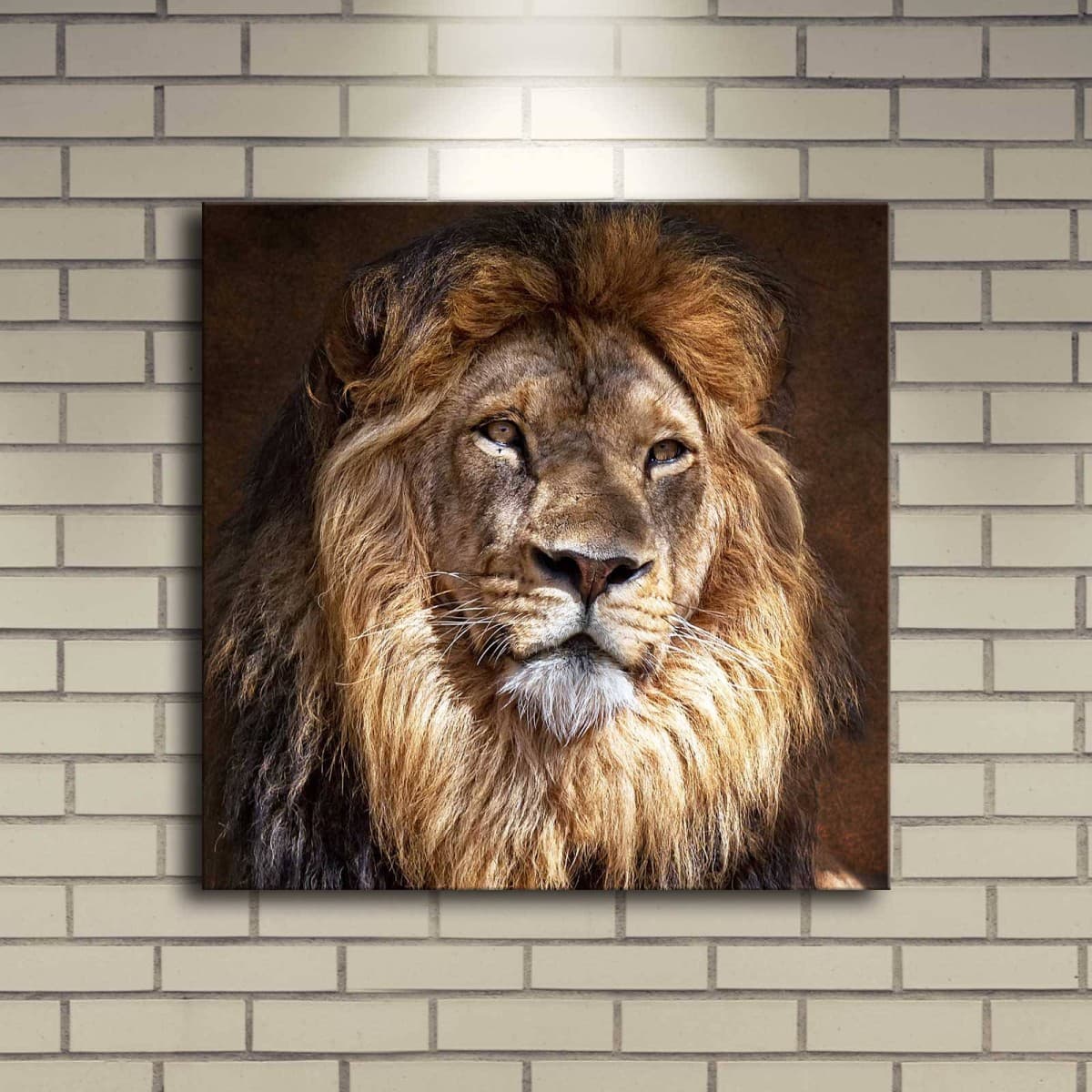 Obraz s LED svetlom KRÁĽ ZVIERAT 20 40 x 40 cm 1