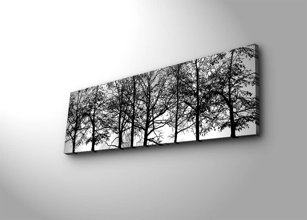 Obraz s LED osvetlením VETVY STROMOV 72 30 x 90 cm 1
