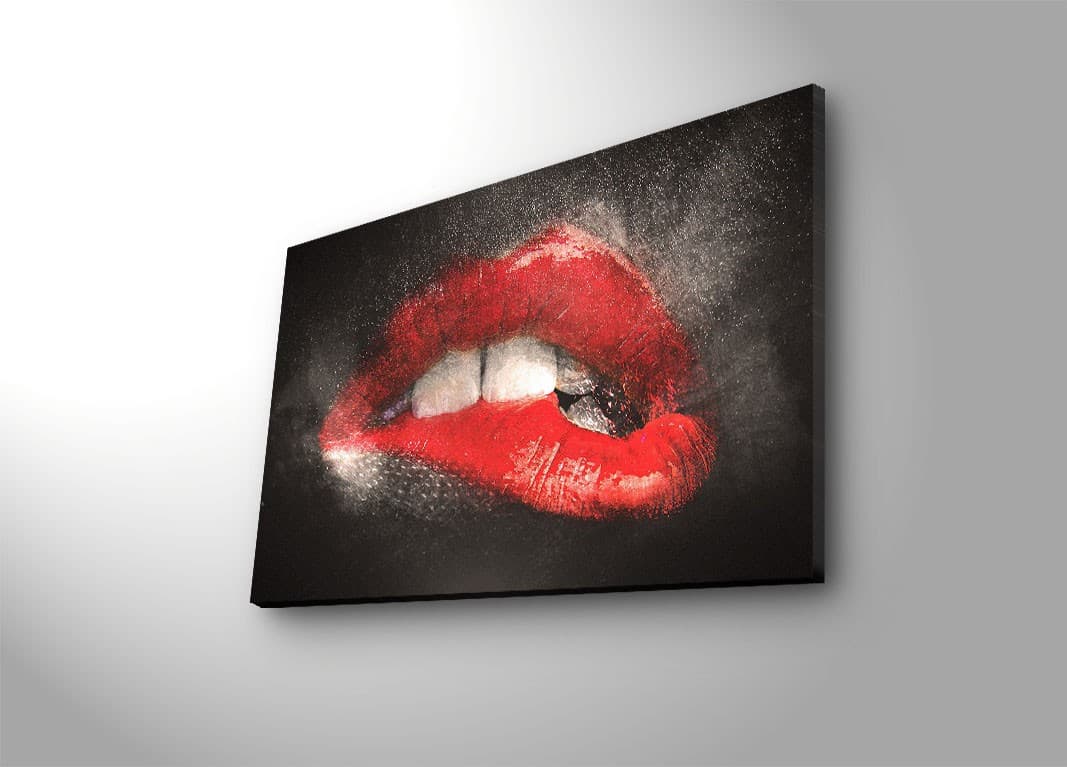 Obraz s LED osvetlením ZMYSELNÉ PERY 64 45 x 70 cm 1