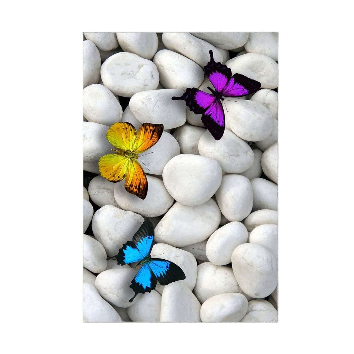 Súprava 2 kusov kúpeľňových predložiek ButterflyStone sivá