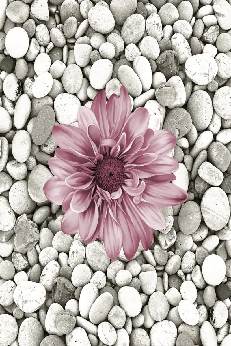 Koberec Bloom 60x100 cm šedý/ružový 1
