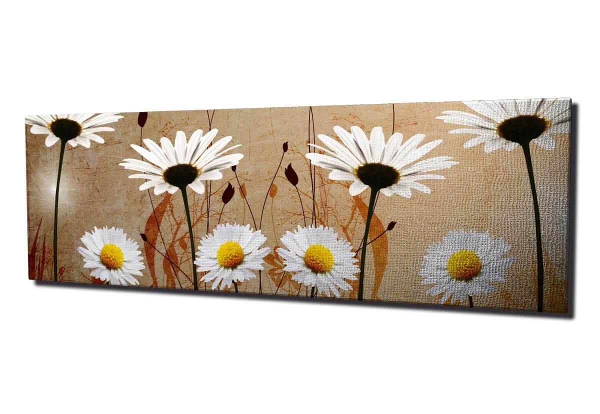 Obraz na plátne Daisies safari PC042 30x80 cm 1