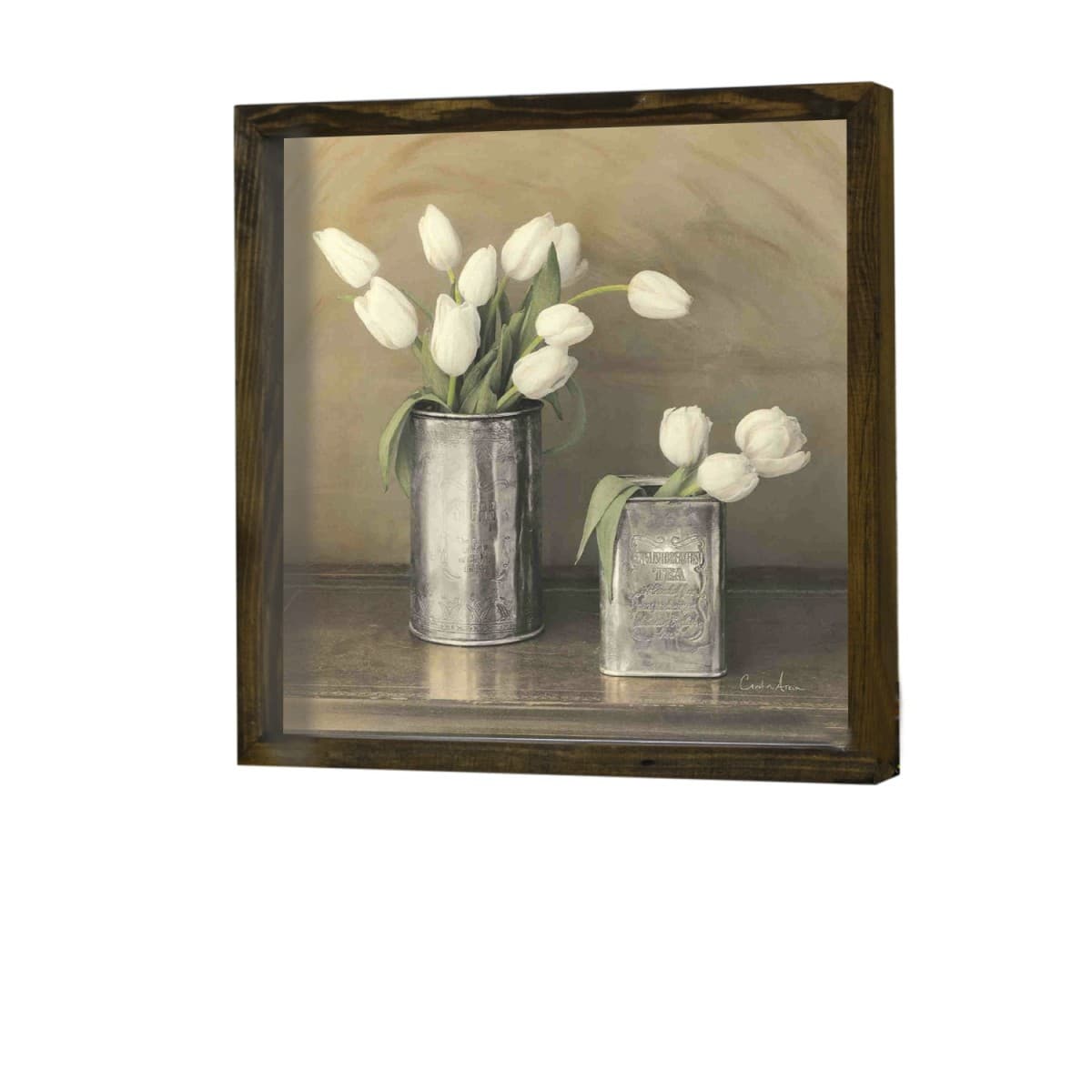 Nástenný obraz Tulip 34x34 cm béžová/biela 1