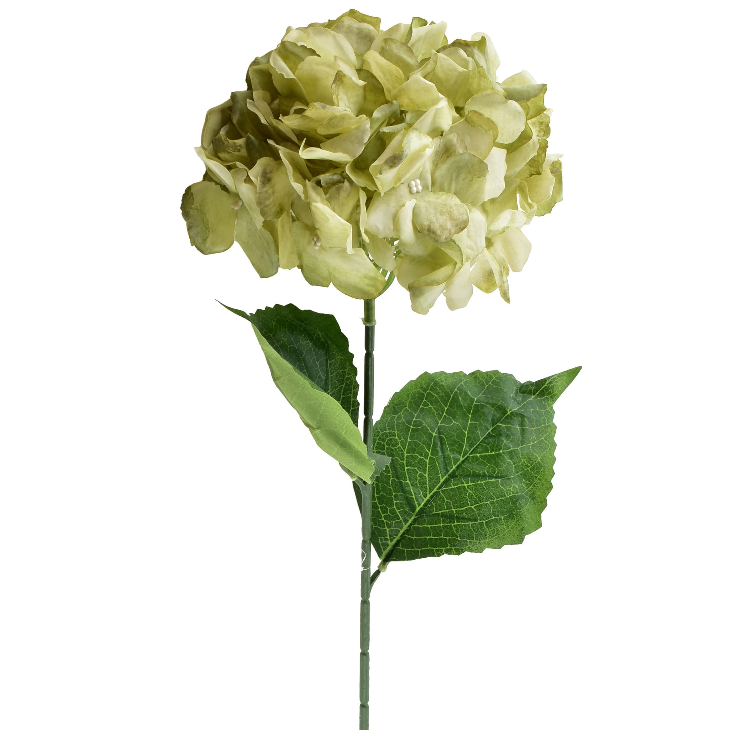 Umelá kvetina VIRIDIS HORTENSIA 73 cm biela/zelená