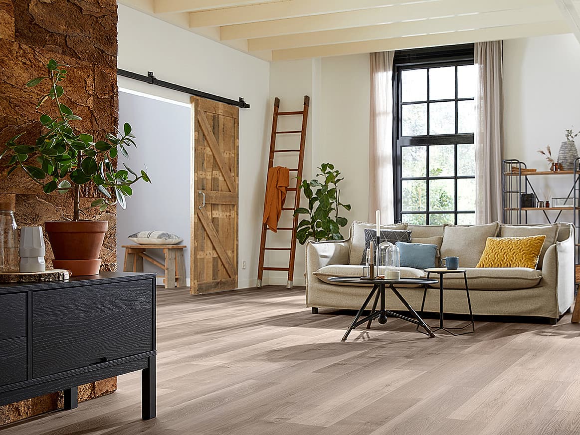 mFLOR Broad leaf Smoky sycamore 41817 1