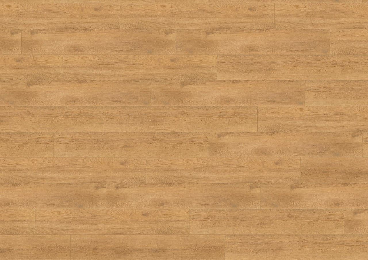 WINEO 1200 wood XL Let's go max PL270R