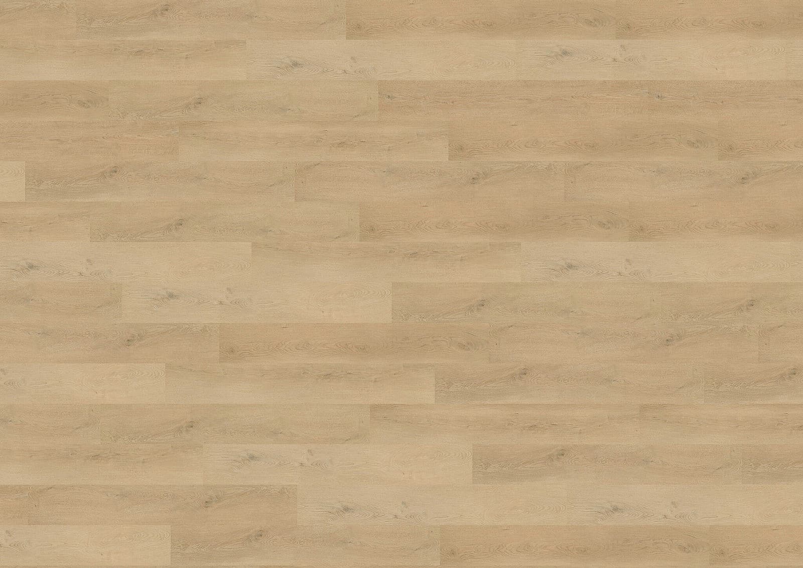 WINEO 400 wood L Plain oak beige DB281WL