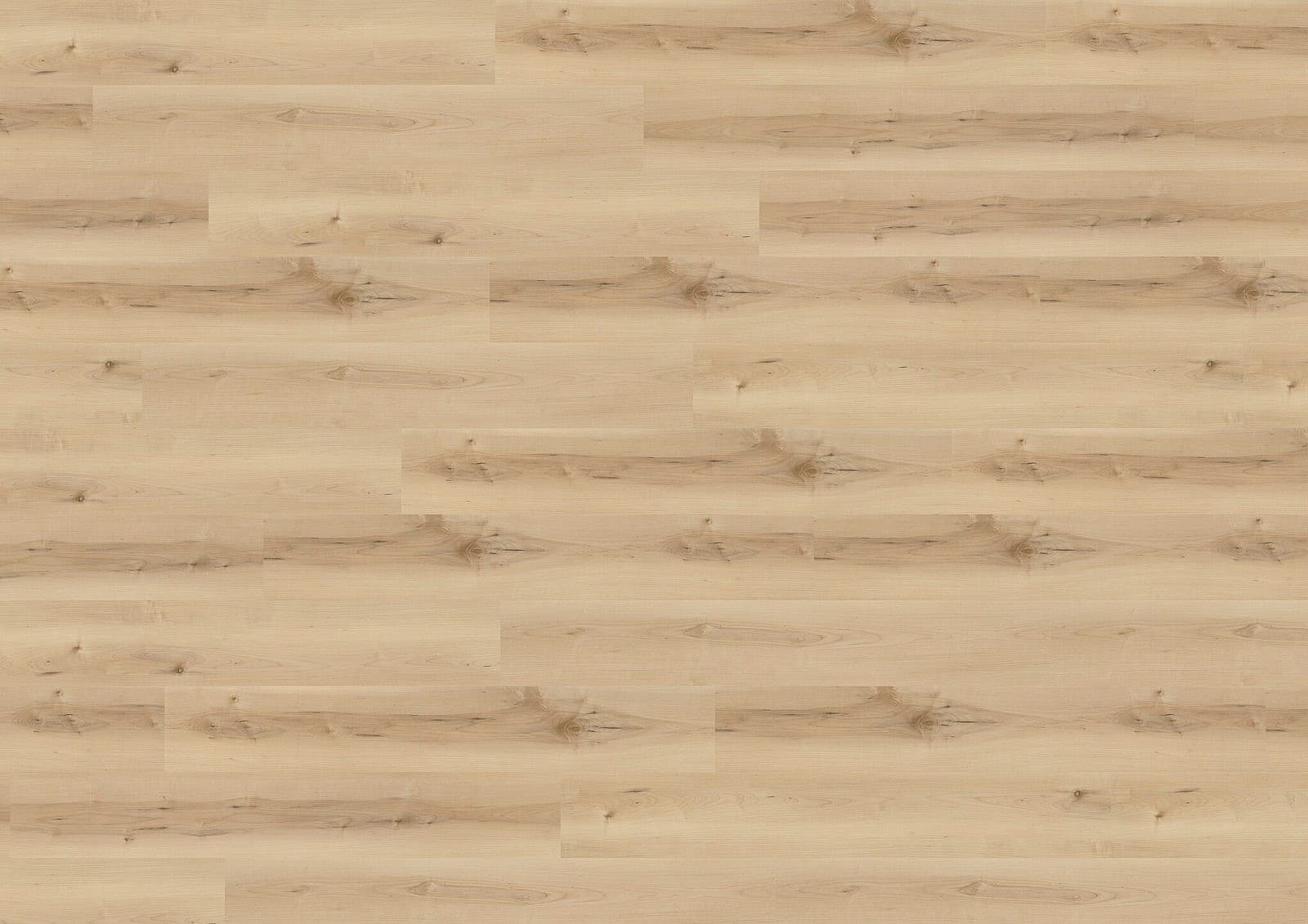 WINEO 400 wood XL Nordic maple cream DB289WXL 1