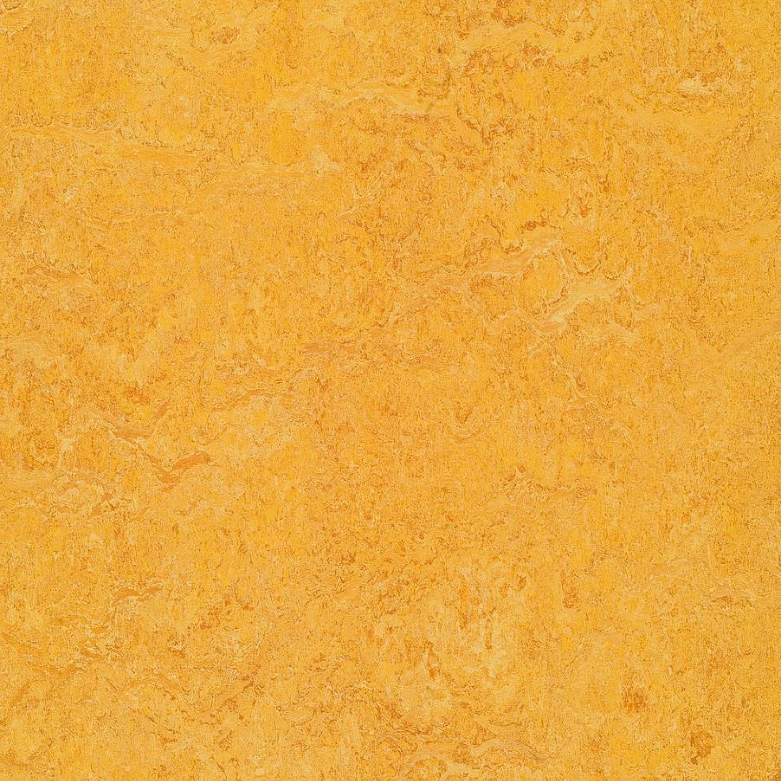 FORBO Marmoleum marbled real Dandelion 3225 1