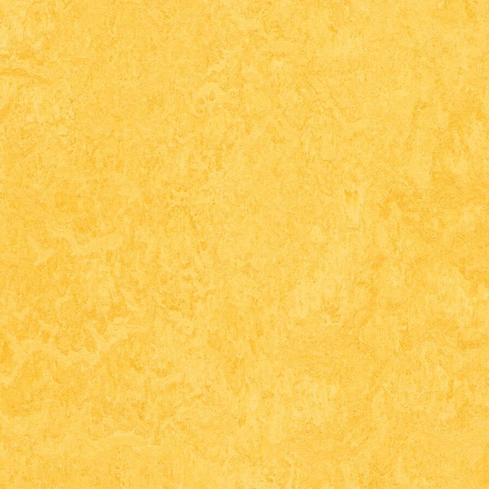 FORBO Marmoleum marbled fresco Lemon zest 3251 Tl. 2 mm 1