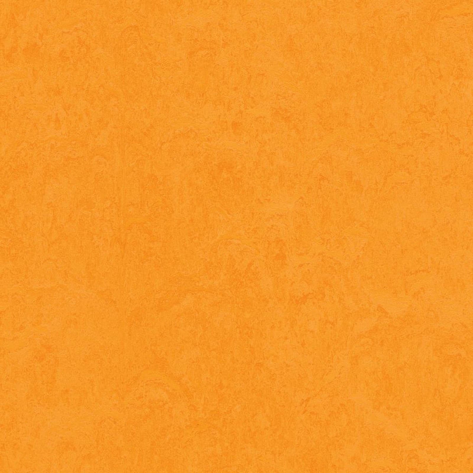 FORBO Marmoleum marbled fresco Marigold 3262 1