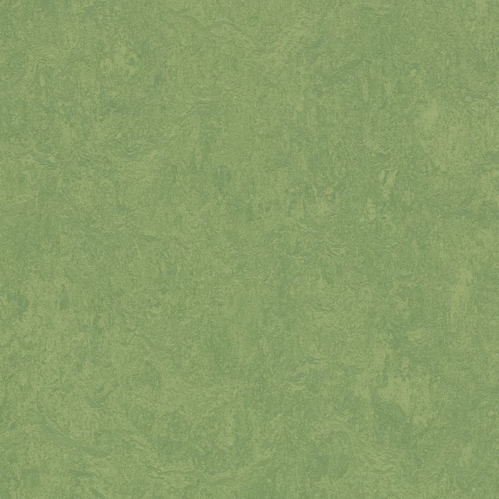 FORBO Marmoleum marbled fresco Leaf 3260 1
