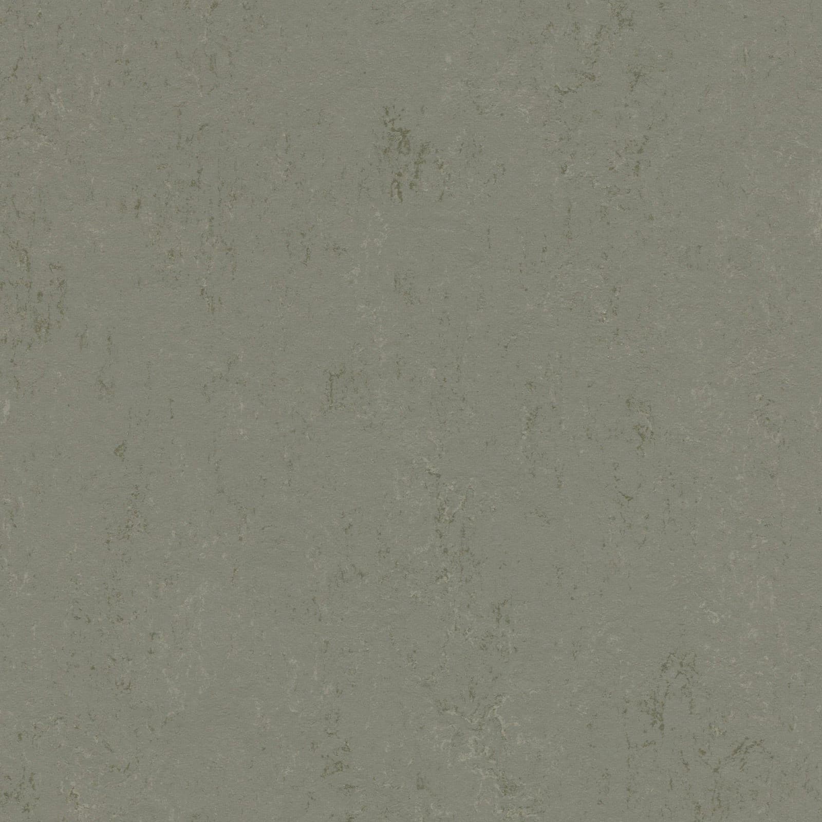 FORBO Marmoleum solid concrete Glacier 3755 1