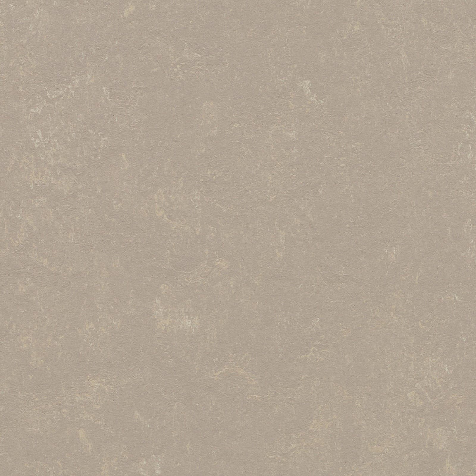 FORBO Marmoleum solid concrete Fossil 3708