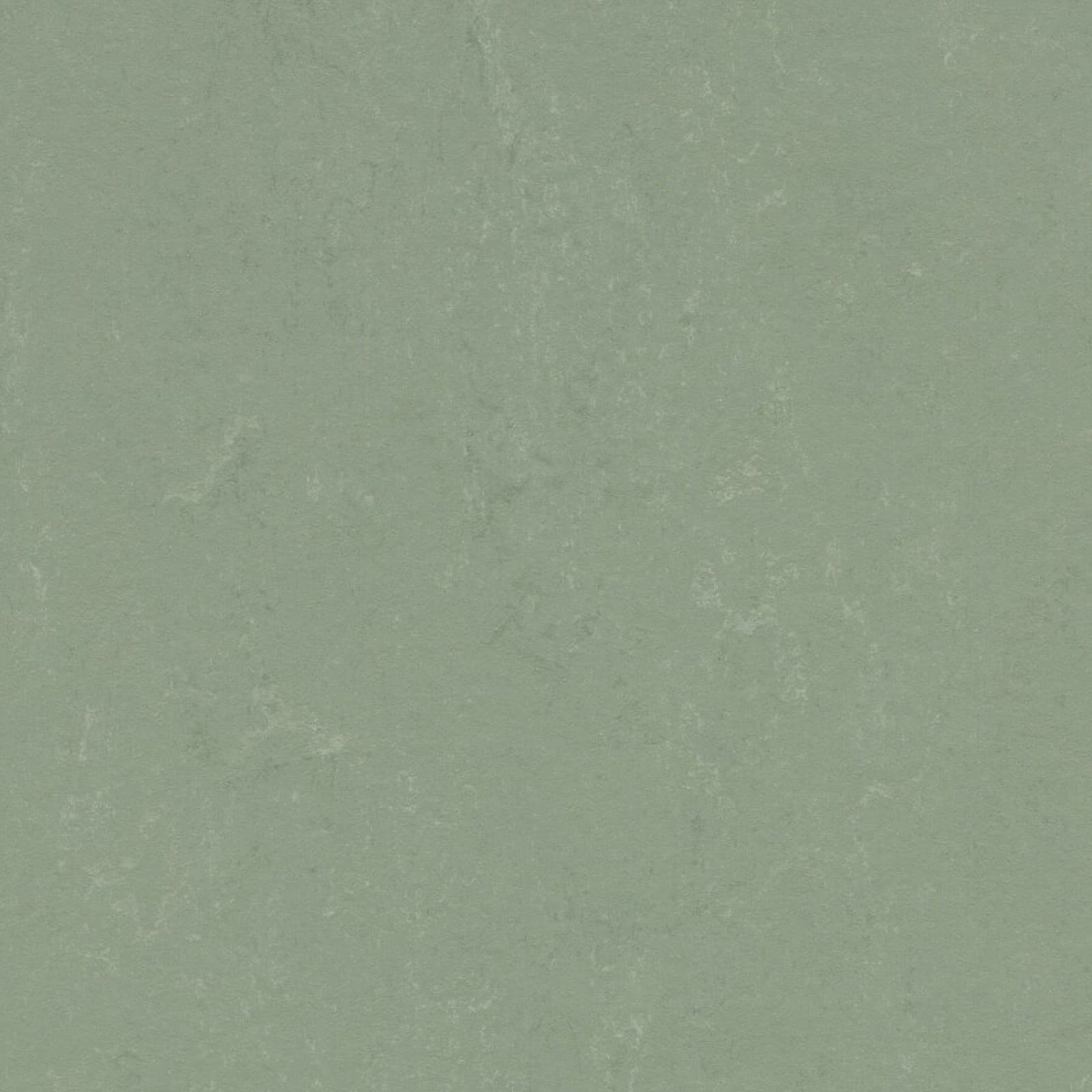 FORBO Marmoleum solid concrete Pine forest 3750 1