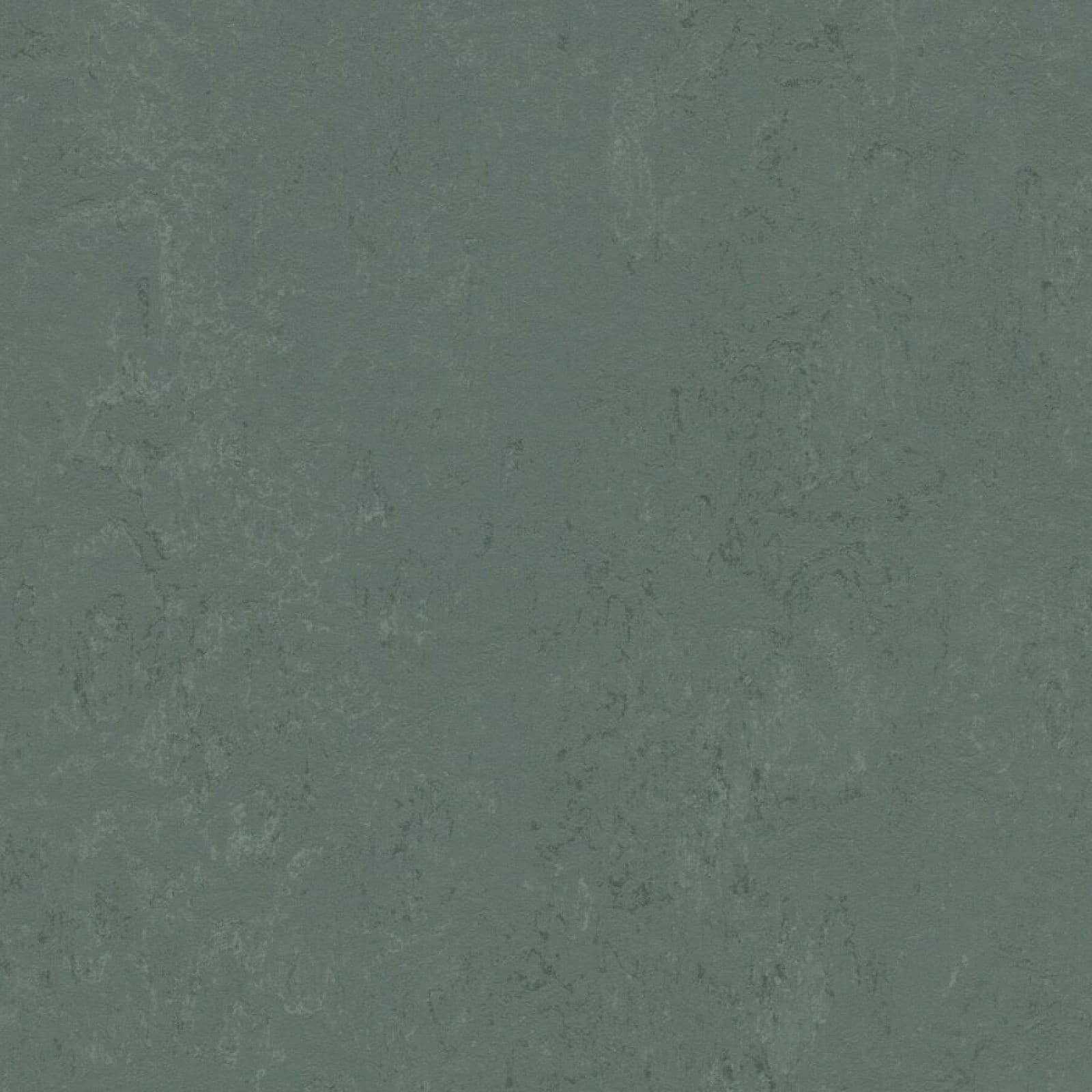 FORBO Marmoleum solid concrete Taiga 3752 1