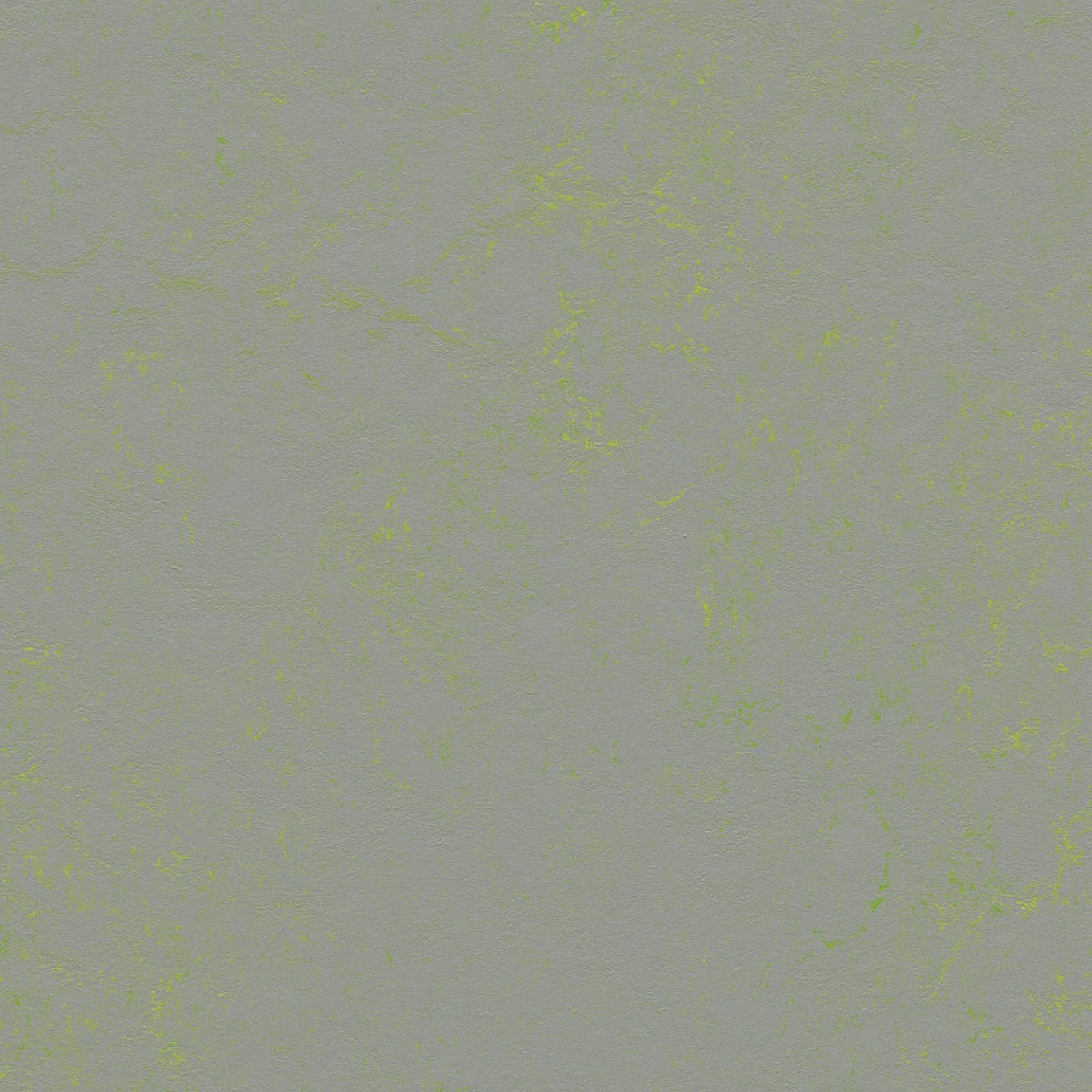 FORBO Marmoleum solid concrete Green shimmer 3736