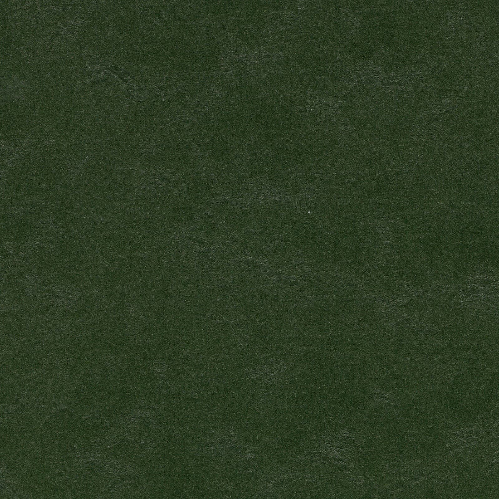 FORBO Marmoleum solid walton Bottle green 3359