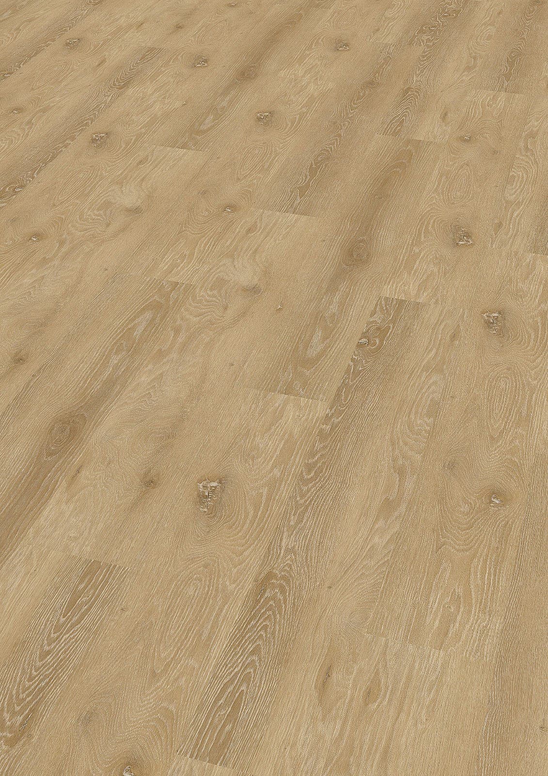 WINEO 800 wood L Trondheim oak brown DB817WL 1