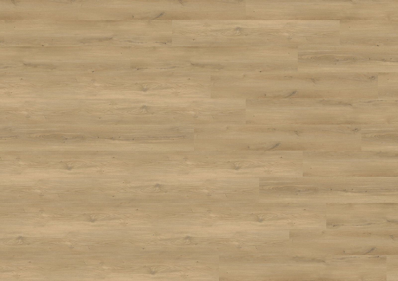WINEO 800 wood XL Stavanger oak nature MLD833WXL