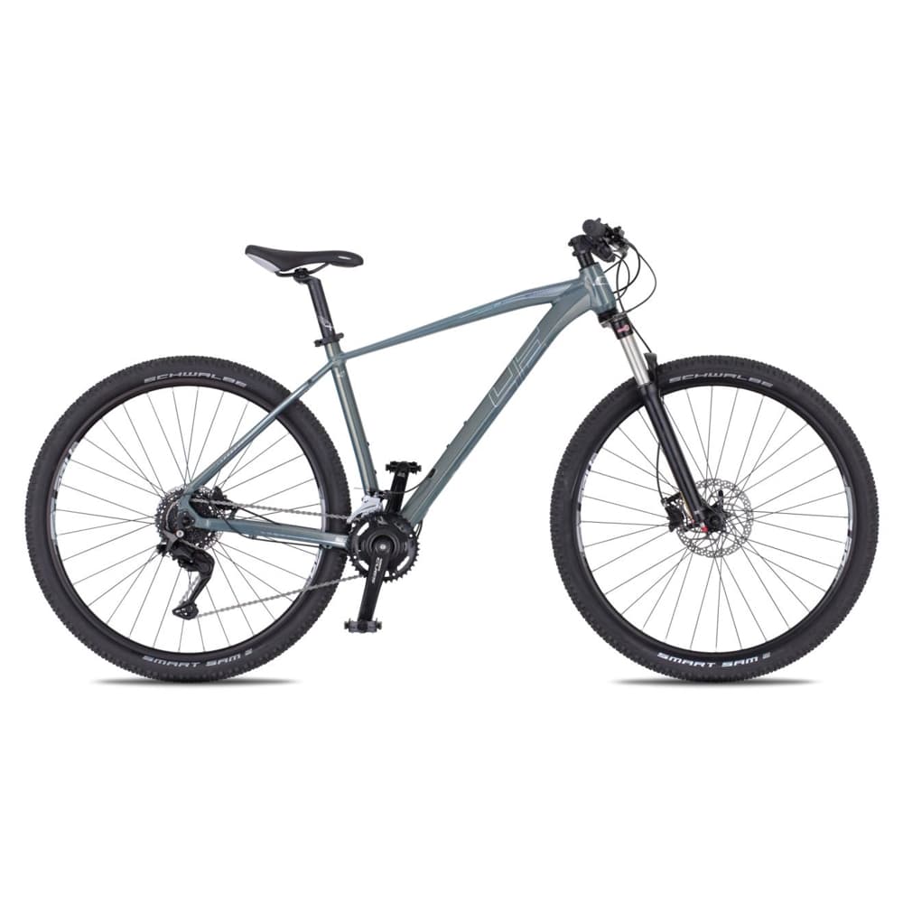 4EVER FRONTBEE 29'' - model 2025 foggy/silver - M (17", 165-175 cm) 1