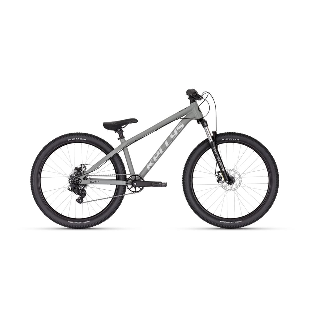 Kellys WHIP 10 DX 26" - model 2025 Moonstone grey - M (13", 155-175 cm) 1