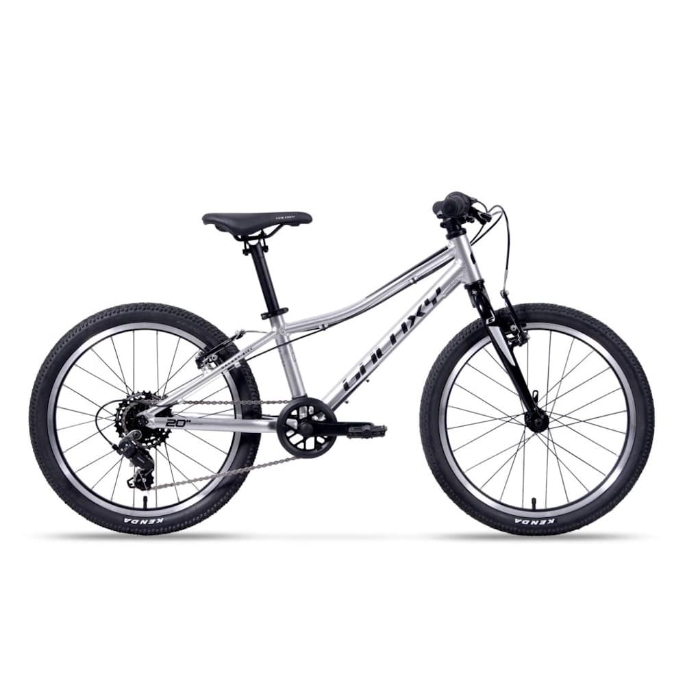 Galaxy Cetis Lite 20" - model 2024 strieborná - 10" (115-135 cm)