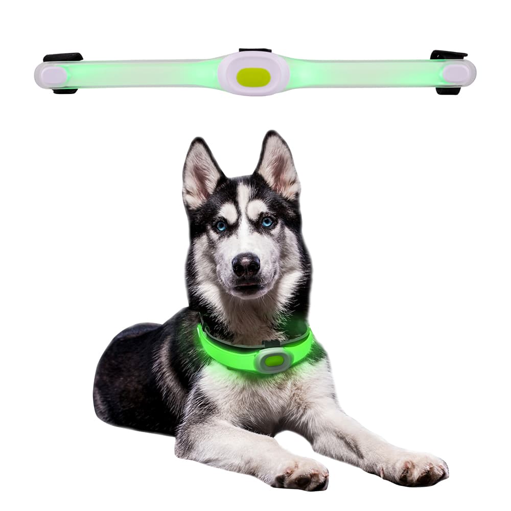 inSPORTline Petsaber Maxi 1