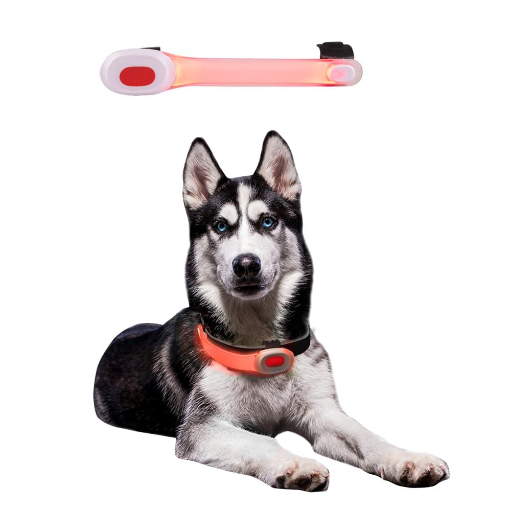 inSPORTline Petsaber Mini 1