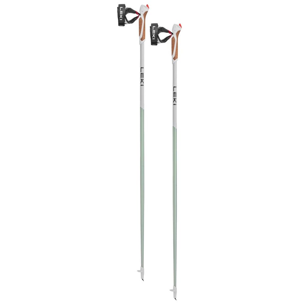 Leki Passion 2023 115 cm 1
