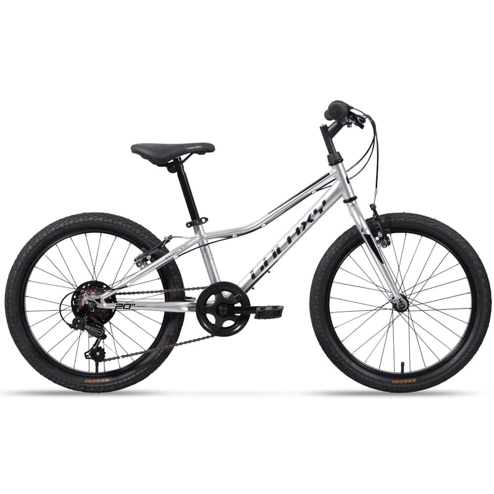 Galaxy Neptun 20" - model 2025 strieborná - 10" (113-135 cm)