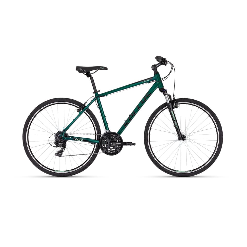Rainforest Green