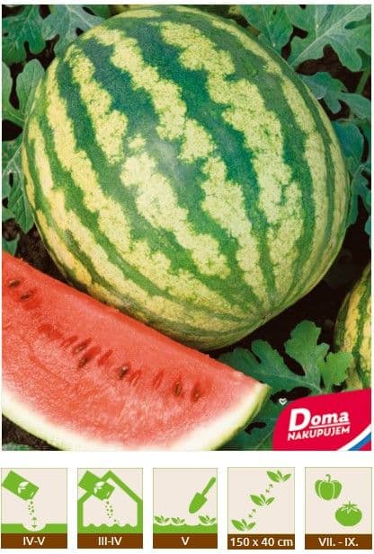 Kinekus Dyňa červená – Crimson Sweet 1