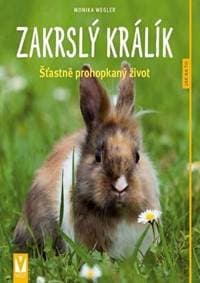Zakrslý králík - Weglerová Monika