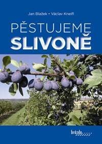 Pěstujeme slivoně  - 2. vydání - Blažek, Václav Kneifl Jan 1