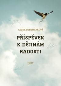 Příspěvek k dějinám radosti - Denemarková Radka 1