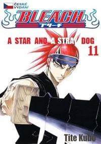 Bleach 11 - Kubo Tite