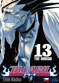 Bleach 13 - Kubo Tite