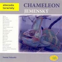 Chameleon jemenský - Velenská Nataša 1