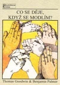 Co se děje, když se modlím? - Goodwin, B.Palmer T. 1