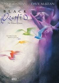 Černá orchidej - Neil Gaiman, Dave McKean 1