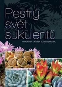 Pestrý svět sukulentů - Kolektív
