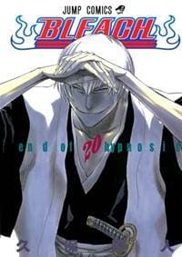 Bleach 20 - Kubo Tite 1
