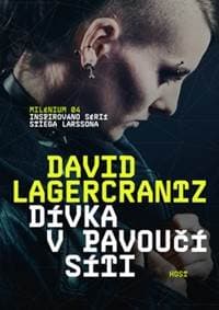 Dívka v pavoučí síti - David LagerCrantz 1
