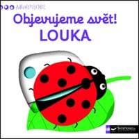 Objevujeme svět! Louka - autor neuvedený