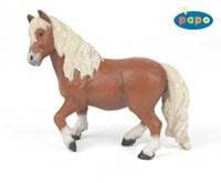 Pony shetlandský - autor neuvedený