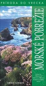 Morské pobrežie - Chris Gibson 1