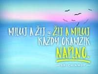 Plechová cedulka Miluj a žij - Sri Chinmoy 1