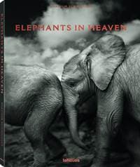 Elephants in Heaven - Joachim Schmeisser, teNeues 1